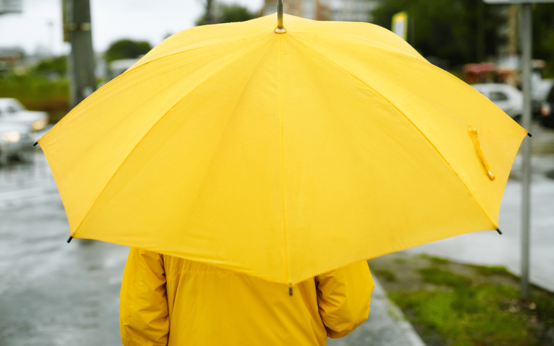 Top 4 Experiences for a Rainy Day in the Columbia Valley