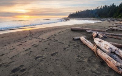 Things to Do in Parksville and Qualicum Beach in Fall and Winter